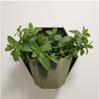 HEXA Planter