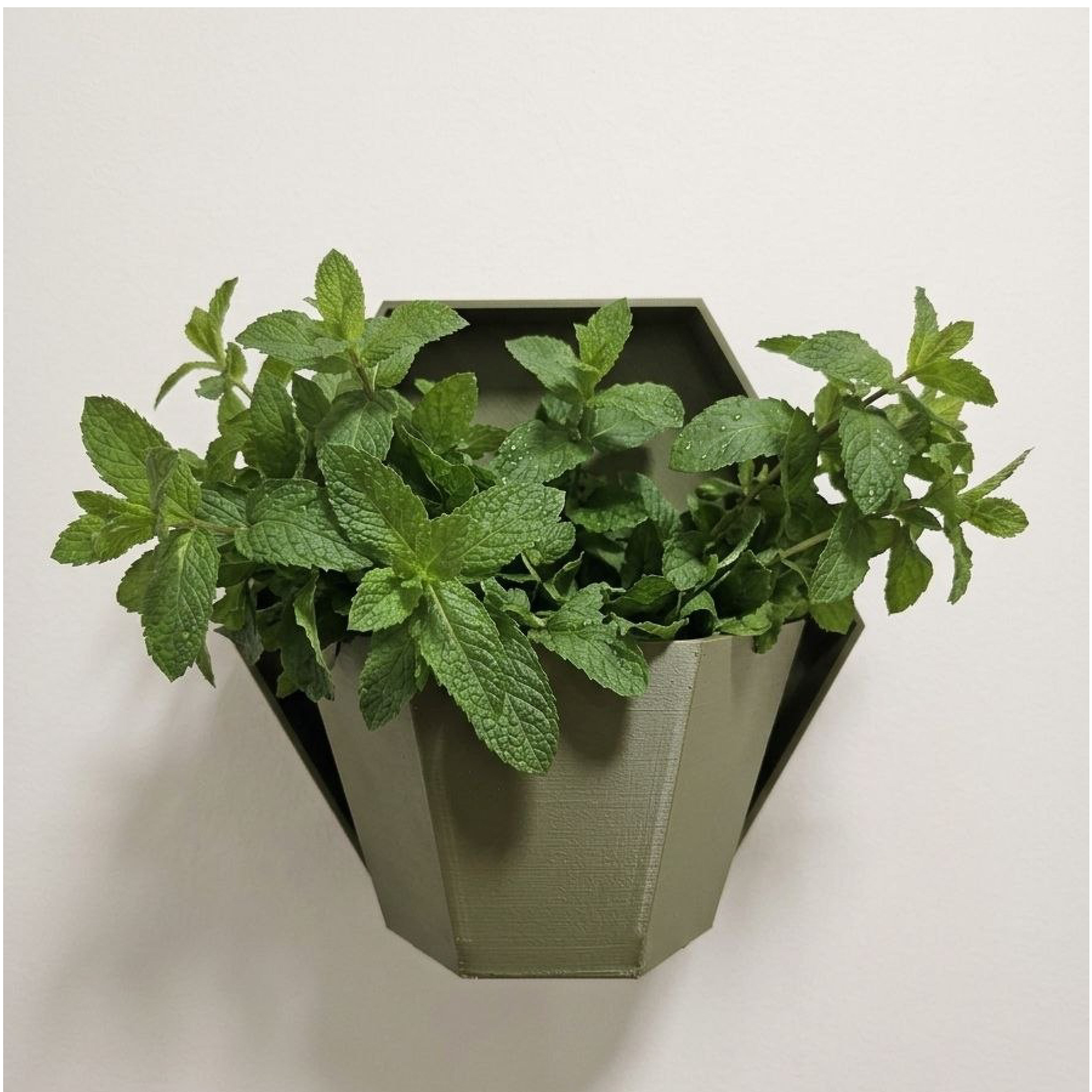 HEXA Planter