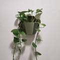 HEXA Planter