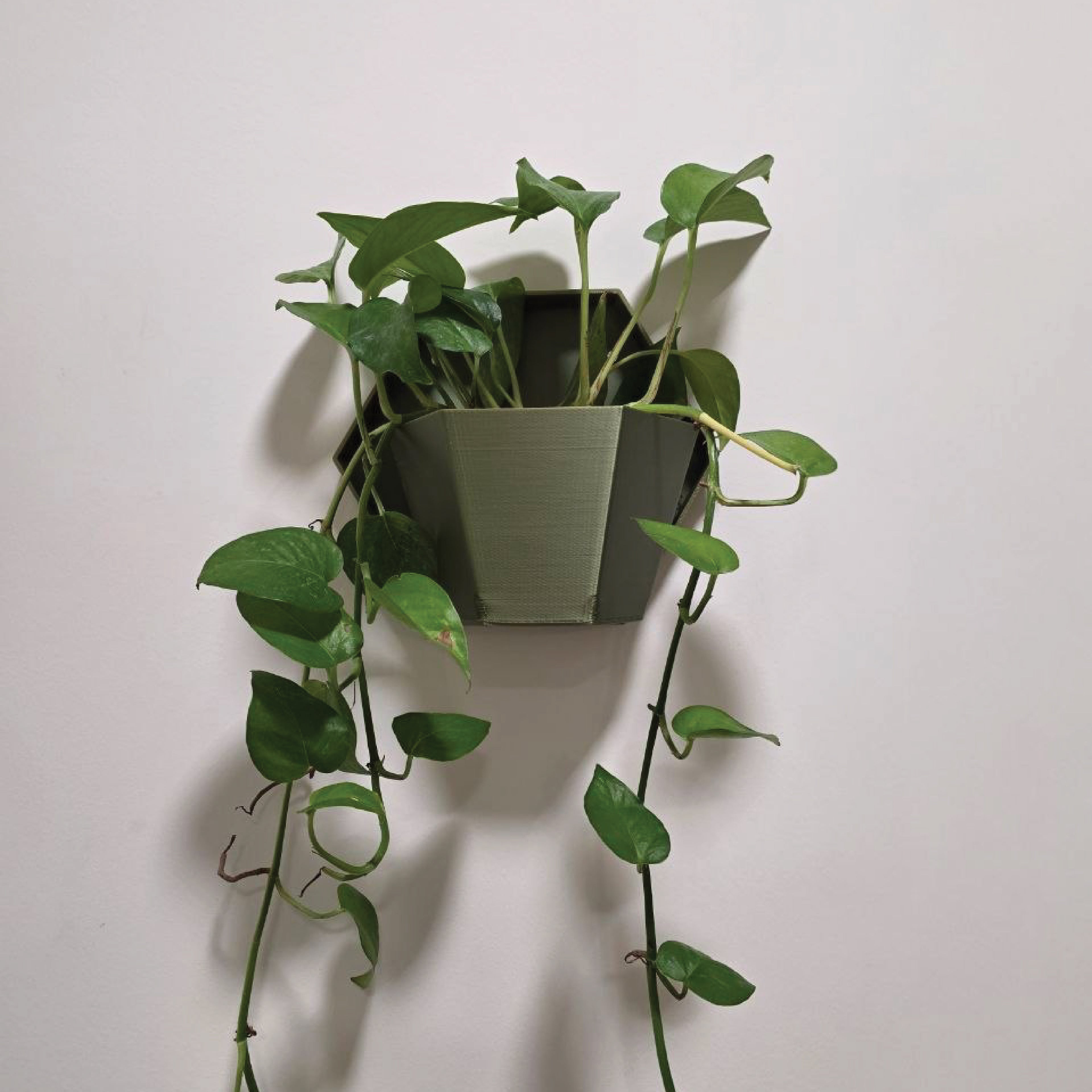 HEXA Planter