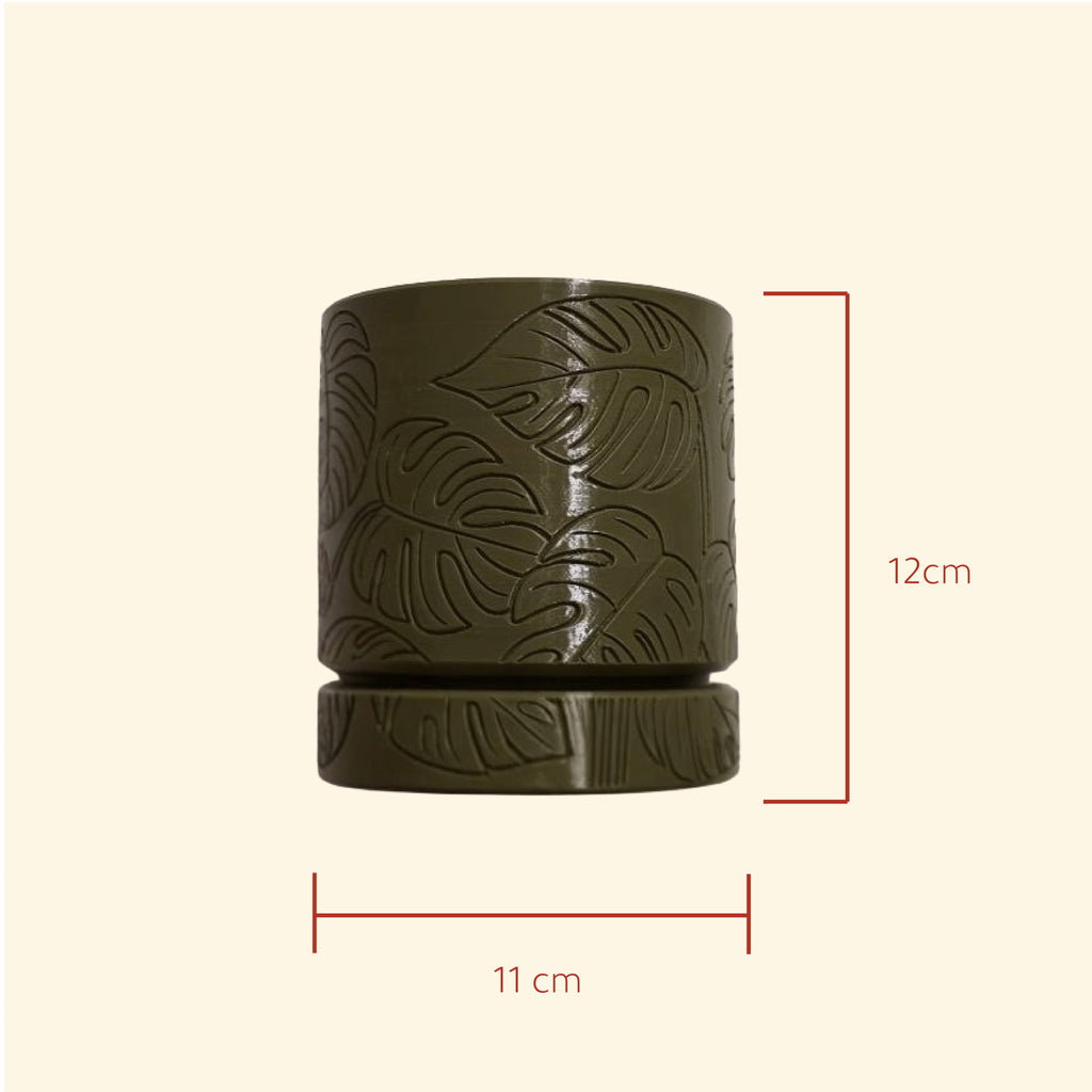 Monstera Pot